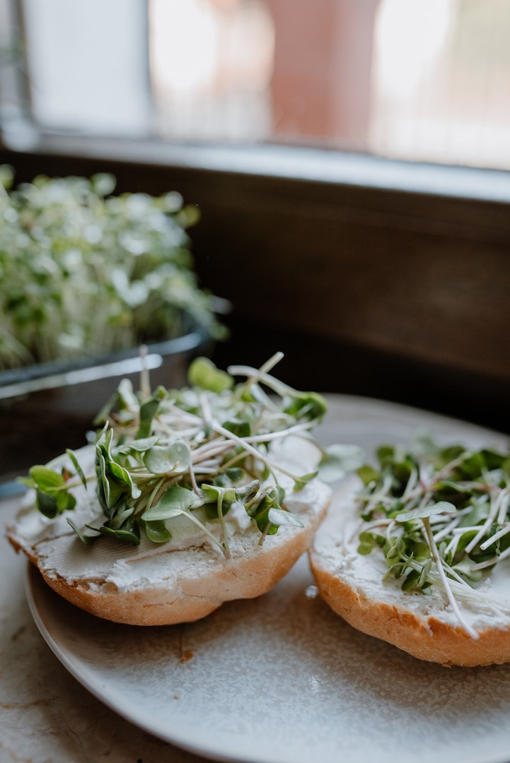 mikrolistki bazylii na kanapce z serkiem